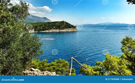 osejava forest park|Makarska